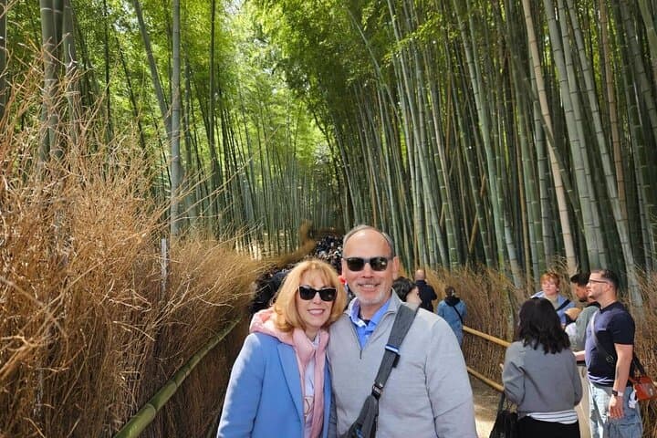 Day Trip Kyoto from Tokyo with a Licensed Guide by Bullet Train — photo 7