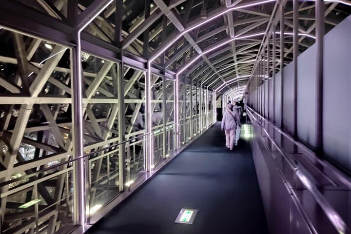 Kyoto: Station and Tower Night Tour with Light Show — photo 14