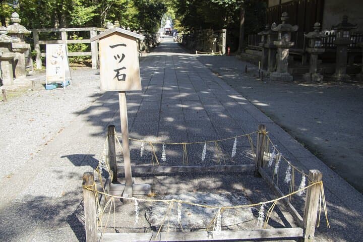 Kyoto: Iwashimizu Hachimangū Shrine Guided Tour & Cable Car — photo 6