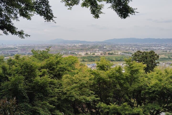 Kyoto: Iwashimizu Hachimangū Shrine Guided Tour & Cable Car — photo 11