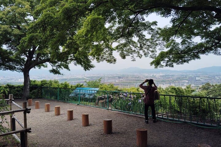 Kyoto: Iwashimizu Hachimangū Shrine Guided Tour & Cable Car — photo 12