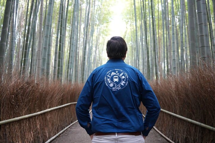 Kyoto Full-Day Bus Tour: Nijo, Arashiyama & Fushimi Inari (EN/ES) — photo 16