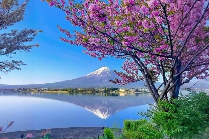 Mt fuji & Hakone customizable day tour w/ English speaking driver — photo 2