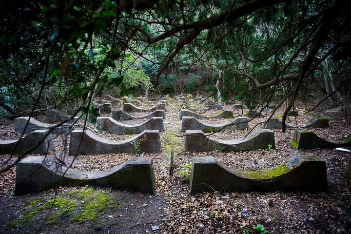 Okunoshima Rabbit Island Cycling Tour with Local Guide — photo 12