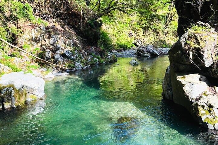 Samurai Nature Retreat — photo 15