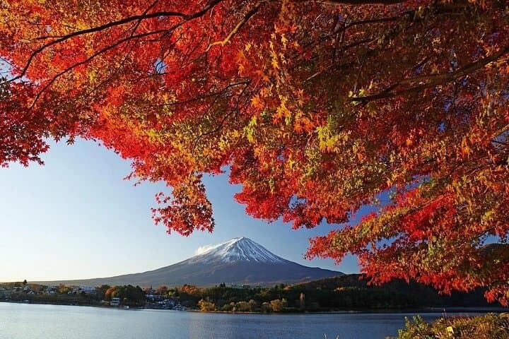 Tokyo: Mount Fuji One Day Trip Lake Kawaguchi & Lake Yamanaka — photo 2