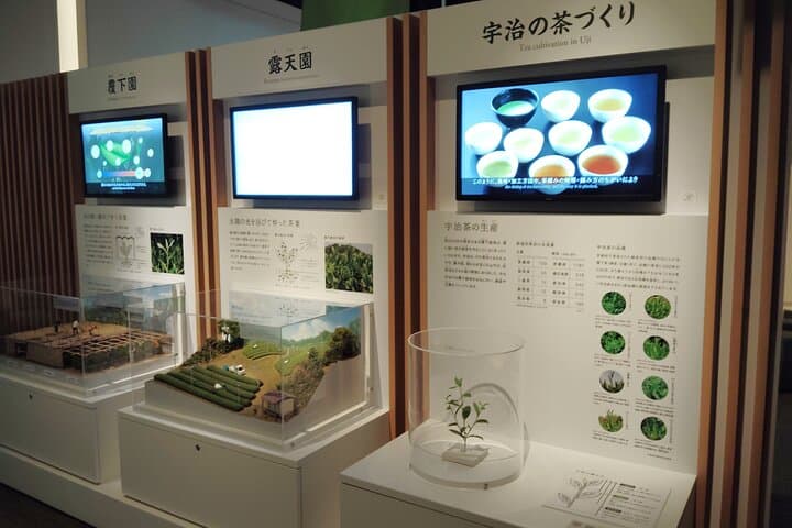 Kyoto: Tea Museum and Tsuen Teahouse Guided Tour — photo 2