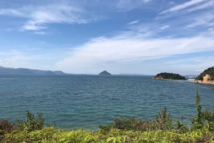 Naoshima Full Day Private Tour from Takamatsu — photo 4