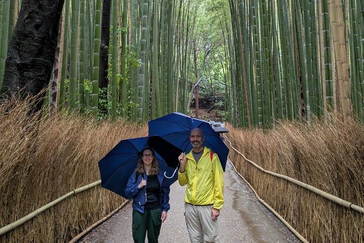 4 Hours Arashiyama and Arashiyama Monkey Park Tour — photo 7