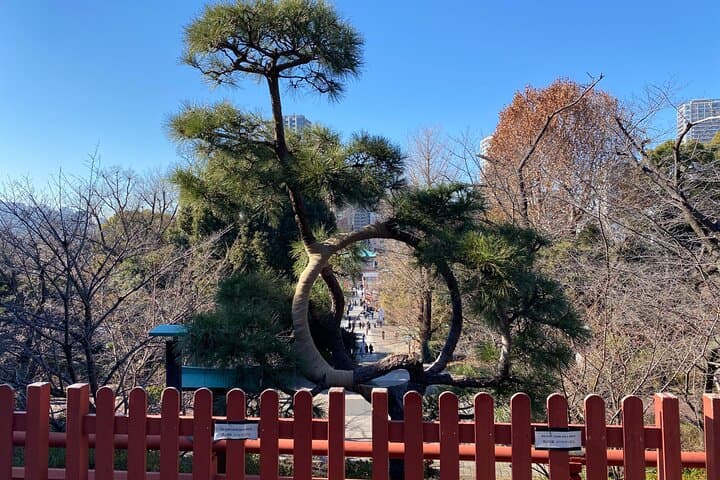 Ueno Park Ameyoko Market Walking Tour with Japanese Tokyo Local — photo 7