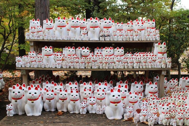 Tokyo: Gotokuji Temple and Shimokitazawa Day Tour — photo 5