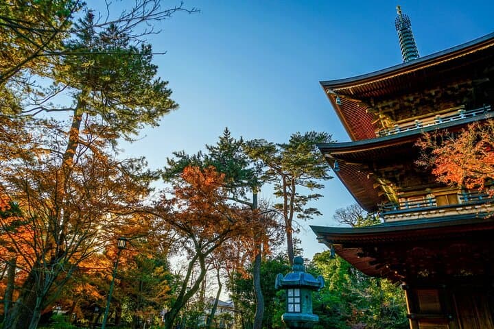 Tokyo: Gotokuji Temple and Shimokitazawa Day Tour — photo 7