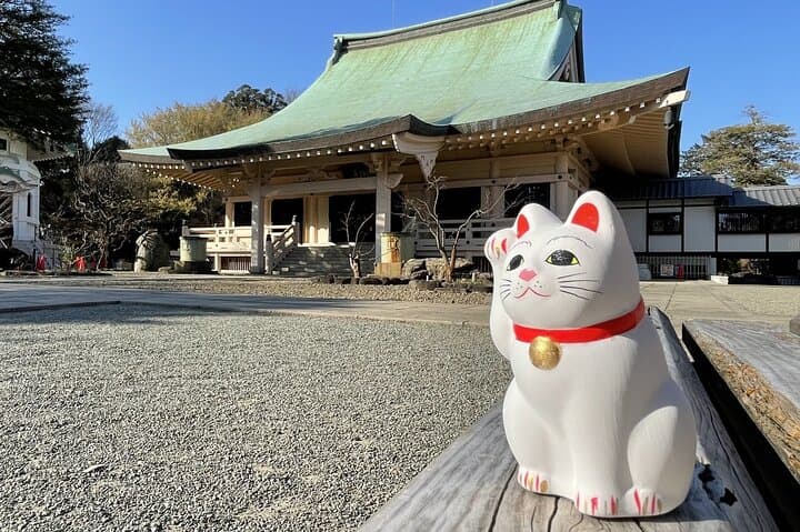 Tokyo: Gotokuji Temple and Shimokitazawa Day Tour — photo 2