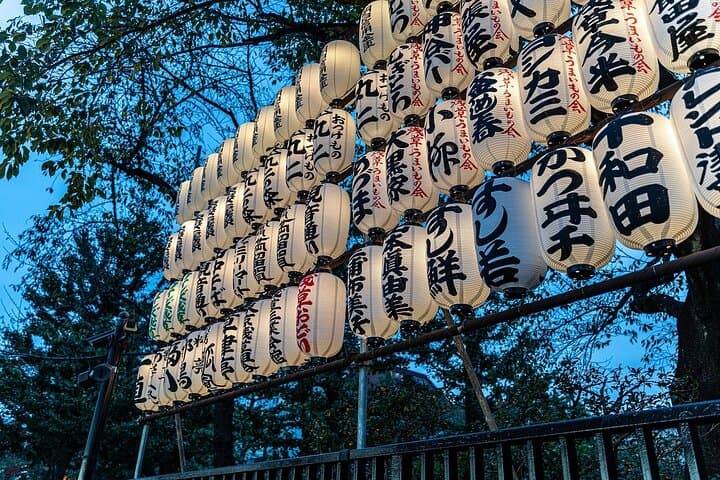 Tokyo Private Tour: Temples, Culture & Modern City Highlights — photo 7
