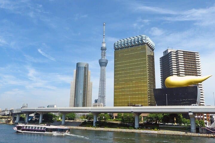Tokyo Private Tour: Temples, Culture & Modern City Highlights — photo 2