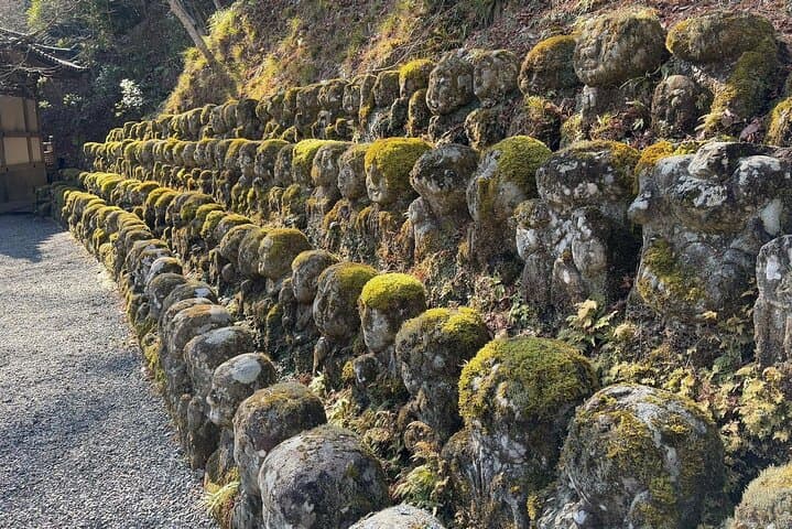 Kyoto Arashiyama Bamboo Forest & Scenery Customized Private Tour — photo 7
