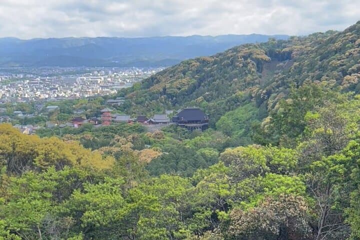 Early Morning Walking Tour: Historic Temples and Shrines — photo 7