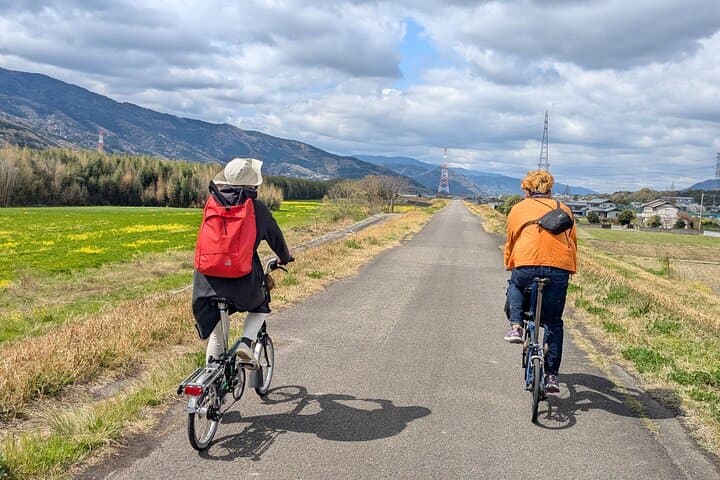 Tokushima Cycling Tour to Riverside Town and Indigo Dyeing — photo 3
