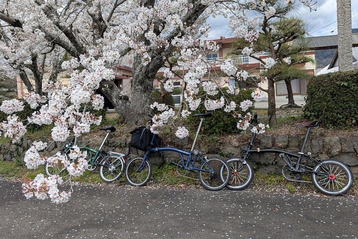 Tokushima Cycling Tour to Riverside Town and Indigo Dyeing — photo 4