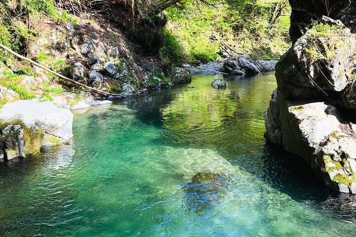 nature retreat and sound meditation — photo 4