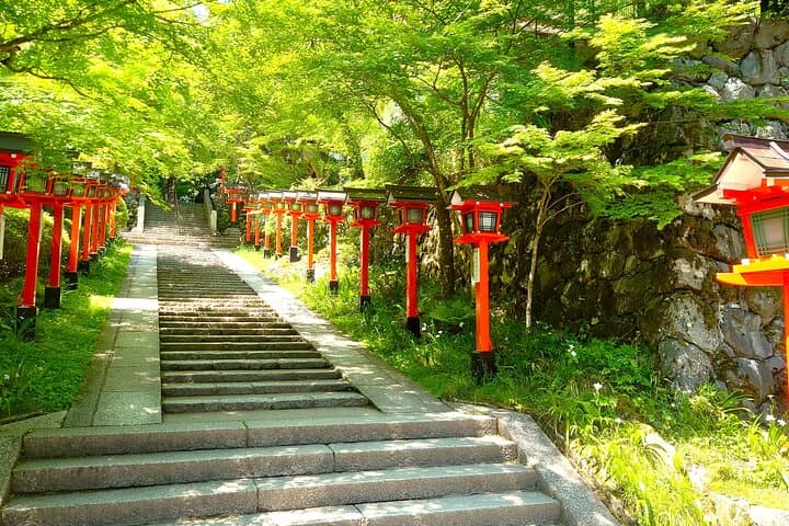 Kyoto: Kurama Hike & Kamo River Slow Cycling Tour — photo 9