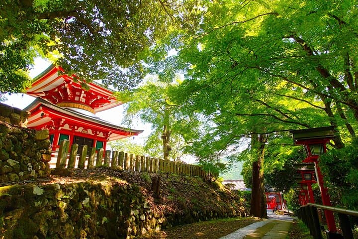 Kyoto: Kurama Hike & Kamo River Slow Cycling Tour — photo 15