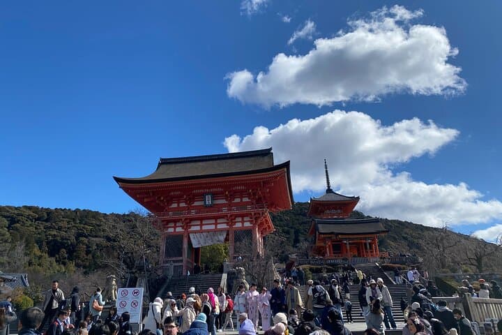 Discover the Secrets of Fushimi Inari and Gion with a Local Guide — photo 5