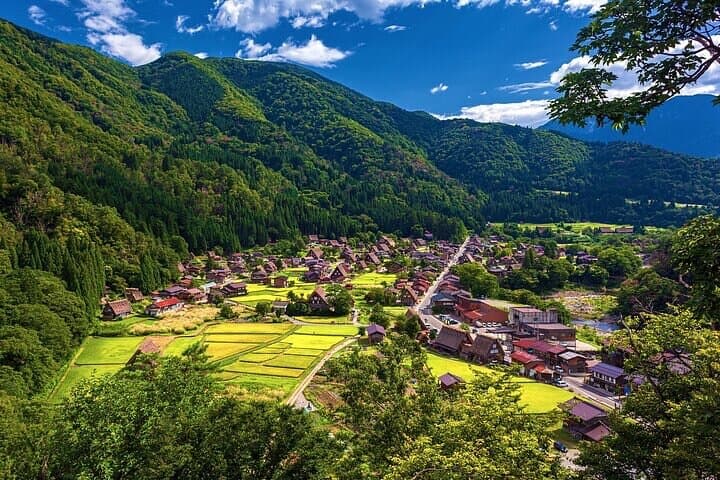 Full Day Private Tour in Takayama Old Township and Shirakawago — photo 3