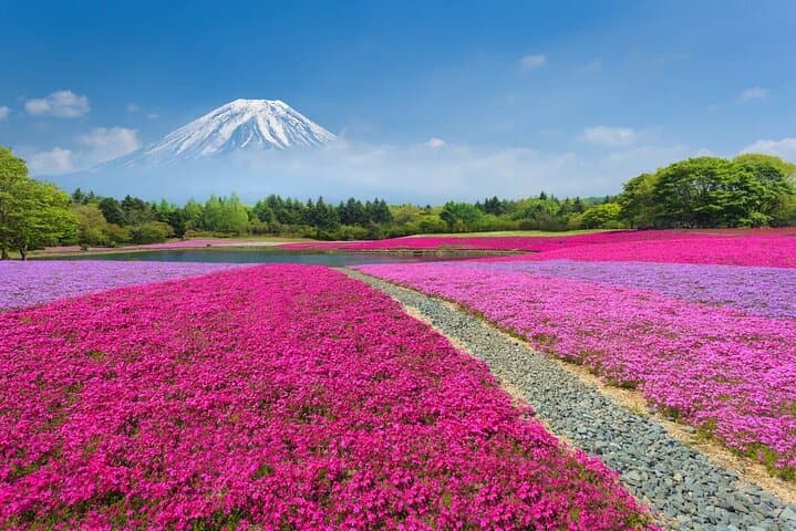 Mt Fuji Lake Kawaguchi and Yamanakako Onsen Tour from Tokyo — photo 5