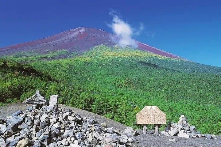 Mt Fuji Lake Kawaguchi and Yamanakako Onsen Tour from Tokyo — photo 4