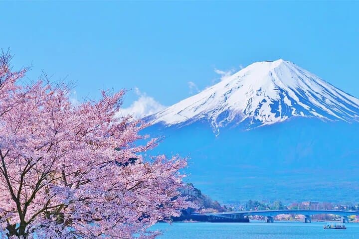 Mt Fuji Lake Kawaguchi and Yamanakako Onsen Tour from Tokyo — photo 3