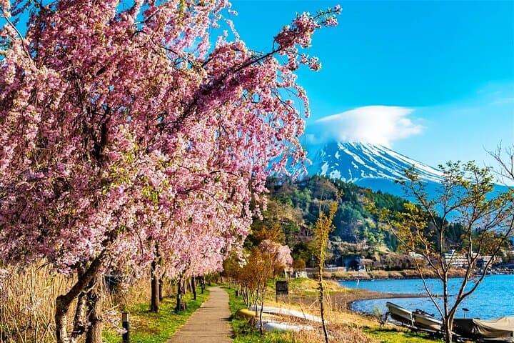 Mt Fuji Lake Kawaguchi and Yamanakako Onsen Tour from Tokyo — photo 8