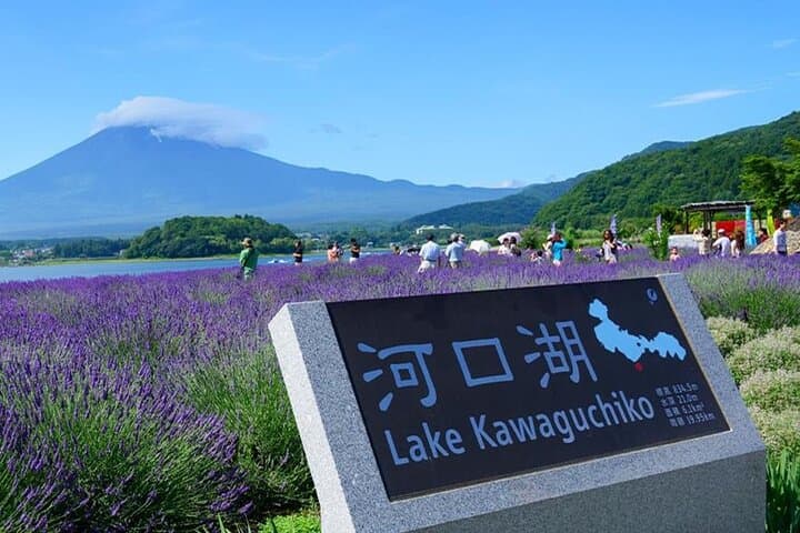 Mt Fuji Lake Kawaguchi and Yamanakako Onsen Tour from Tokyo — photo 9