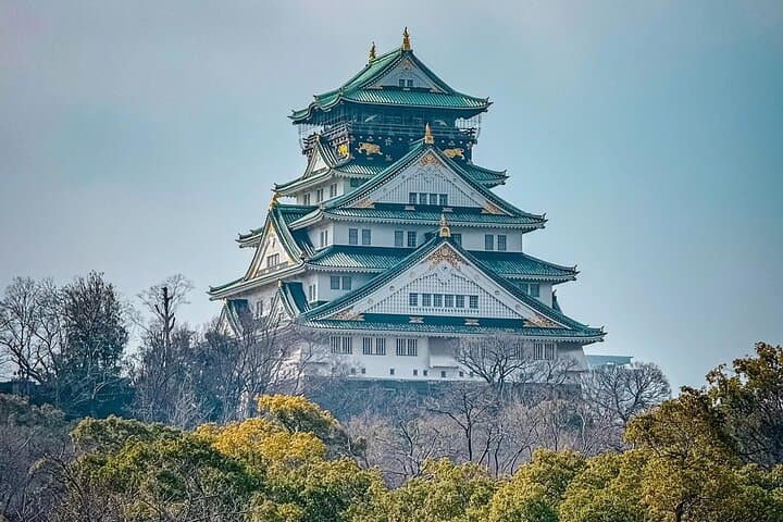 Osaka 8hr Highlights Private Tour with Licensed Guide — photo 8