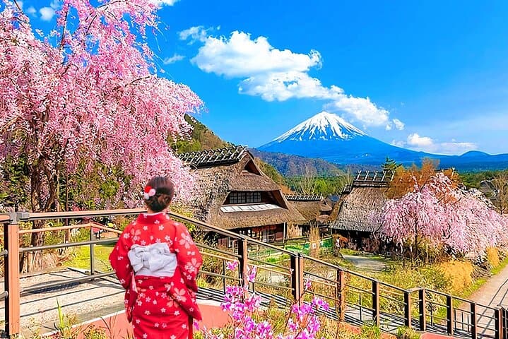 Mount Fuji Day Tour:Lake Kawaguchi, HealingVillage,Oshino Hakkai — photo 4