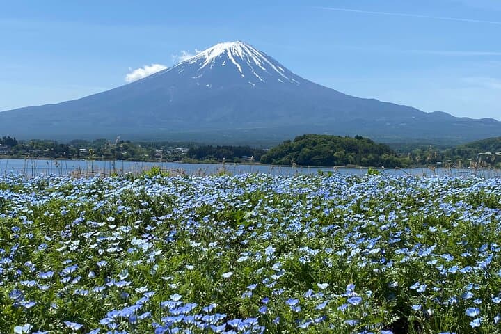 Mount Fuji Day Tour:Lake Kawaguchi, HealingVillage,Oshino Hakkai — photo 19