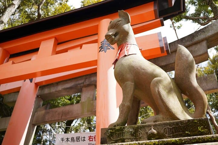 Kyoto and Nara Day Tour from Kyoto — photo 7