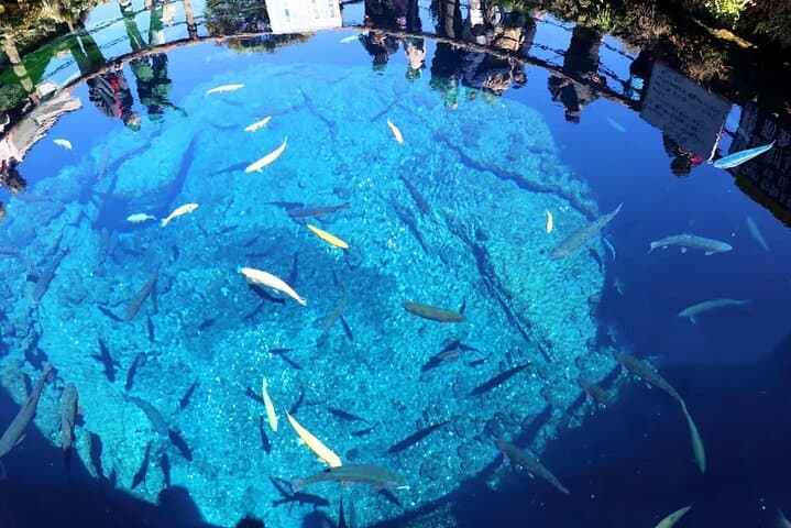 Mt. Fuji Panoramic Ropeway, Oshino Hakkai & Sightseeing Day Tour — photo 8