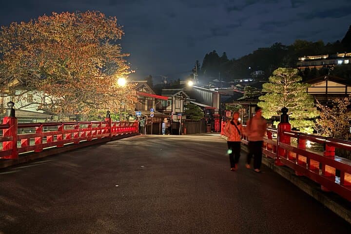 Takayama: Private Night Walking Tour with Dinner — photo 11