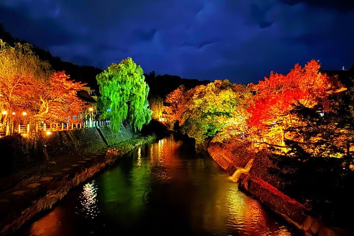 Takayama: Private Night Walking Tour with Dinner — photo 12