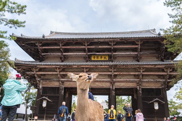Private Kyoto Tour by Car with Optional Nara or Osaka Add-Ons — photo 4