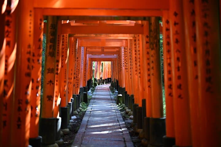 Private Kyoto Tour by Car with Optional Nara or Osaka Add-Ons — photo 2