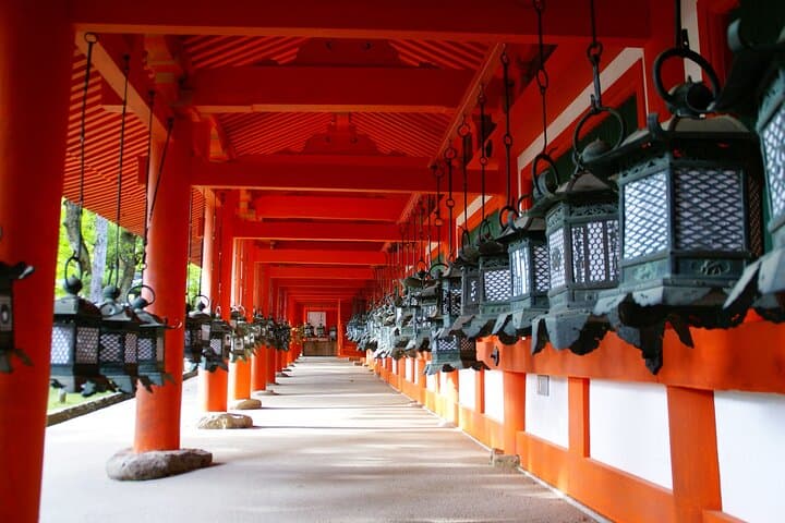 Private Kyoto Tour by Car with Optional Nara or Osaka Add-Ons — photo 7