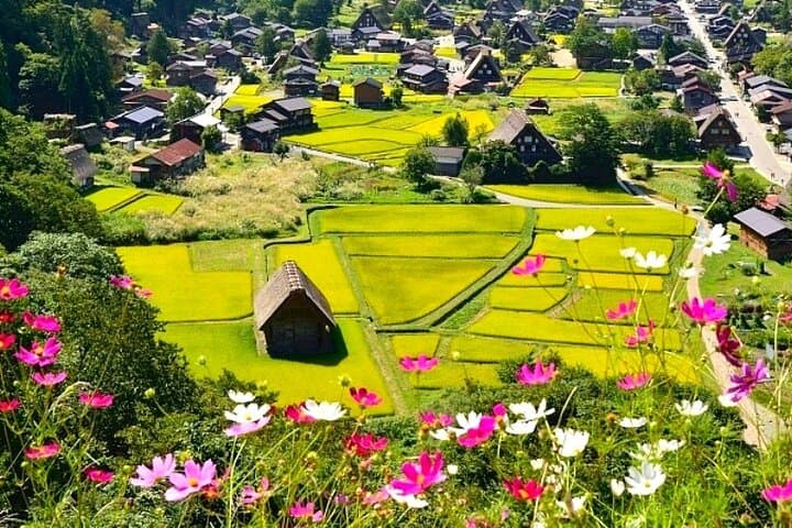 Shirakawa-go + Hida Takayama Day Tour from Nagoya Station — photo 3