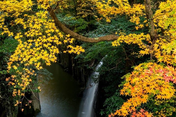Miyazaki Day Tour Takachiho Gorge Amanoiwato Shrine — photo 3