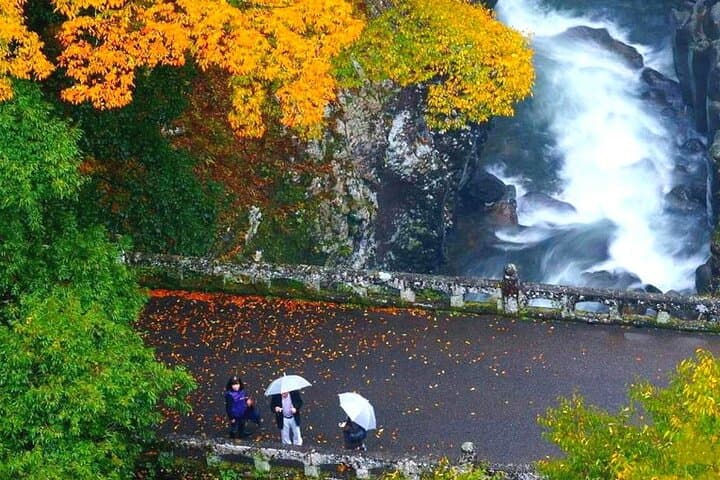 Miyazaki Day Tour Takachiho Gorge Amanoiwato Shrine — photo 5