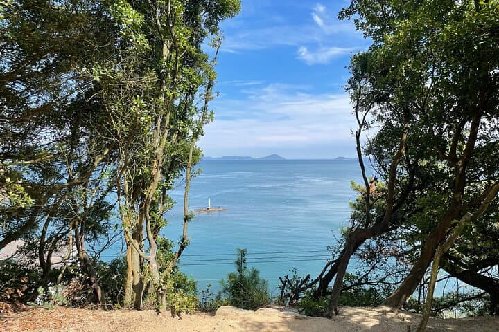 Naoshima and Teshima 2 Days Tour from Takamatsu or Uno — photo 3