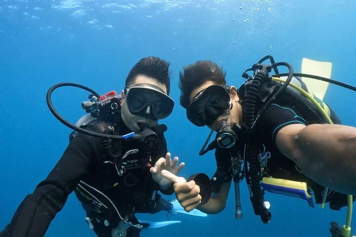 Premier Dive Spots Experience in Kushimoto — photo 2