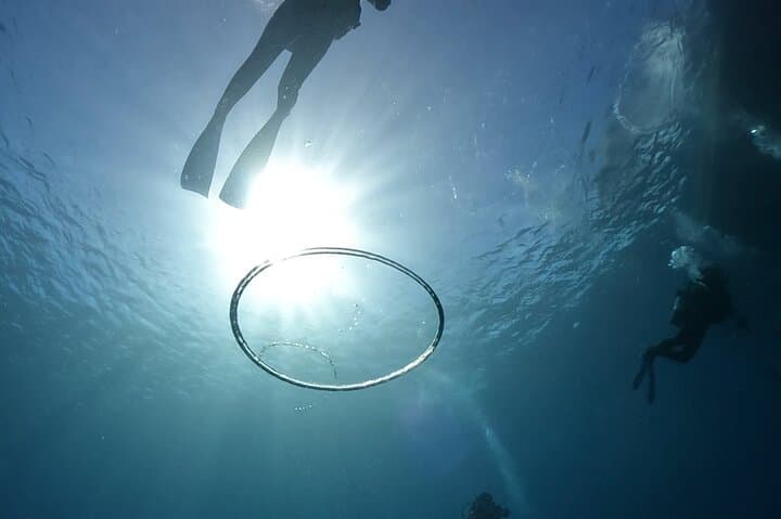 Premier Dive Spots Experience in Kushimoto — photo 6
