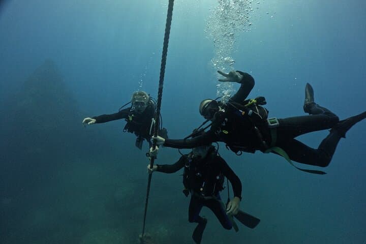 Premier Dive Spots Experience in Kushimoto — photo 7